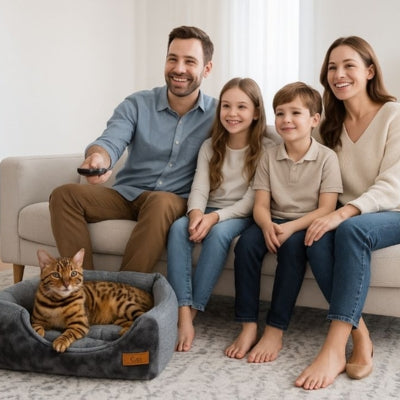 bangal detendu dans niche à chat à côté famille dans salon