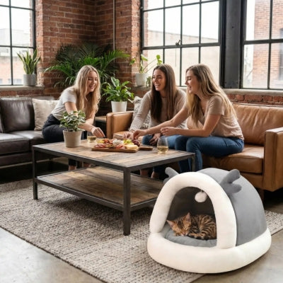 bangal endormi dans nid chaton amies prennent apéro à côté