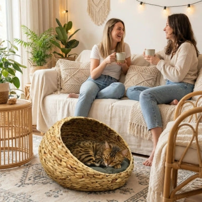 bangal endormi panier pour chat osier amies discutant à côté