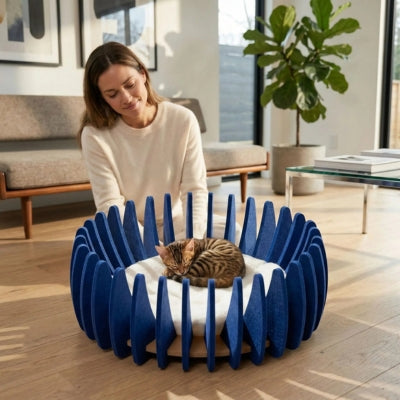 bangal enroulé dans cocon pour chat maîtresse le regarde tendrement