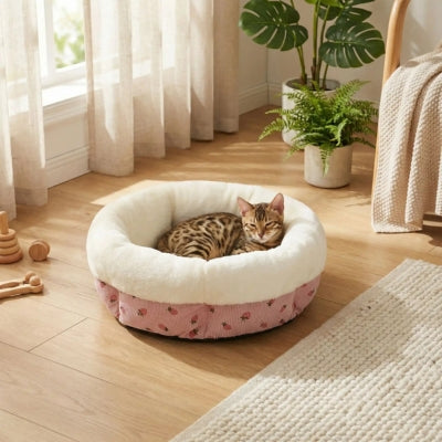 bangal lové dans couffin chaton 