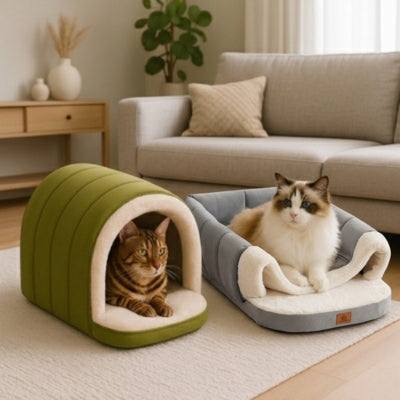 bangal lové dans niche chat interieur verte ragdoll detendu niche transformée en lit