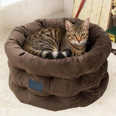 bangal lové dans son cocon pour chat