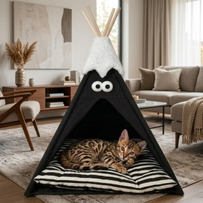 bangal lové dans tipi pour chat noir