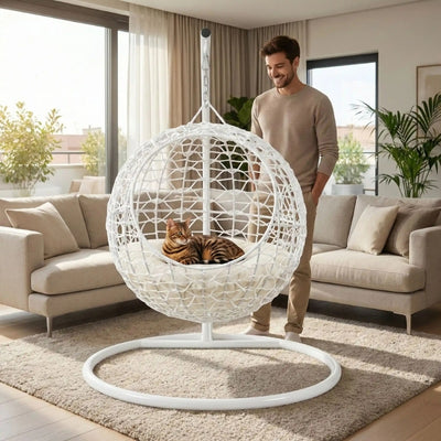 bangal lové panier pour chat osier maître content le regardant