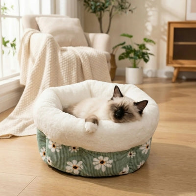 birman lové couffin chaton