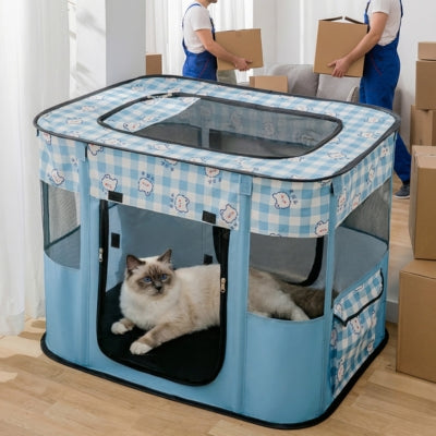 birman relaxant dans maison chats démenagement encours