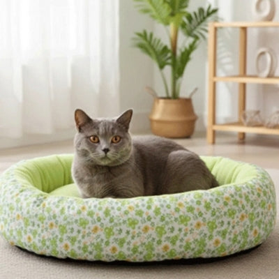 chartreux installé dans coussin chats vert fleuri