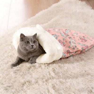 chartreux lové nid chaton