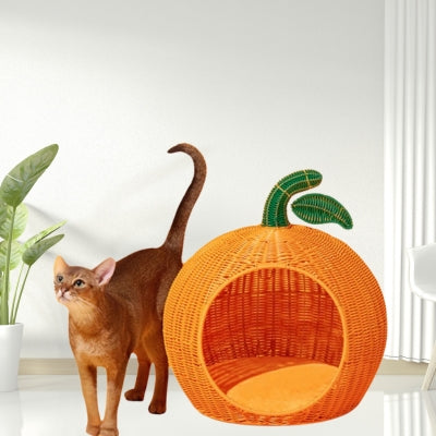 chat à côté panier en rotin pour chat
