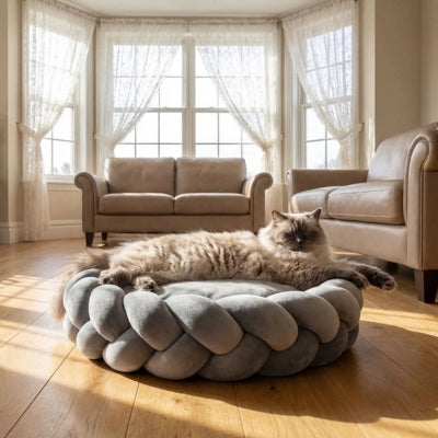 chat allongé couffin pour chat