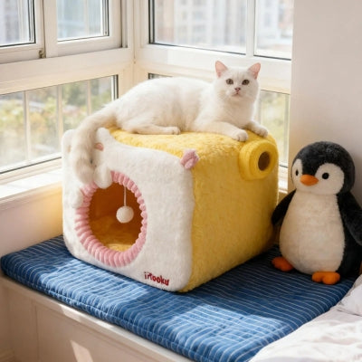 chat allongé en dessus d'une de ses niches chat