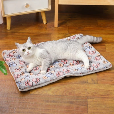 chat allongé sur tapis chat pattes chat colorées