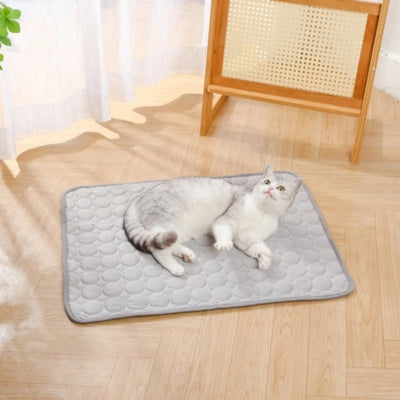 chat allongé sur tapis rafraichissant chat gris