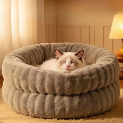 chat appuyant sa tête sur rebord couffin chaton