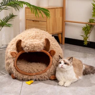 chat assis à côté son cocon pour chat