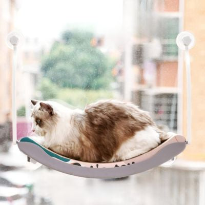 chat assis en boule sur hamac chat suspendu