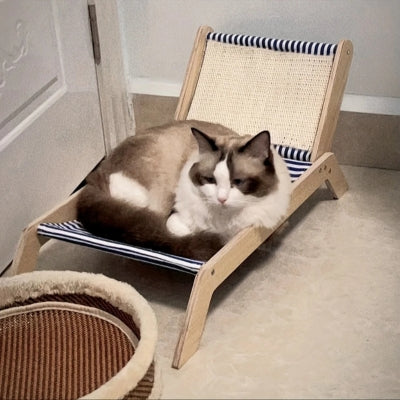 chat assis sur hamac pour chat sur pied