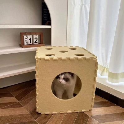 chat caché dans maison pour chaton