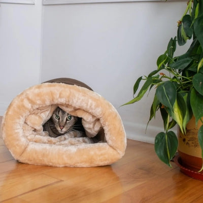 chat caché dans niche chat mokachidoux moka beige