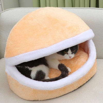 chat caché dans nid chaton orange abricot doux