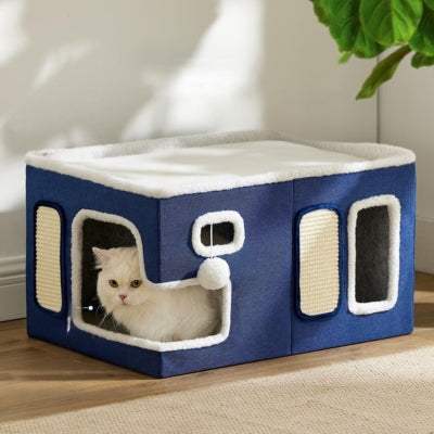 chat caché dans panier chatons bleu grand