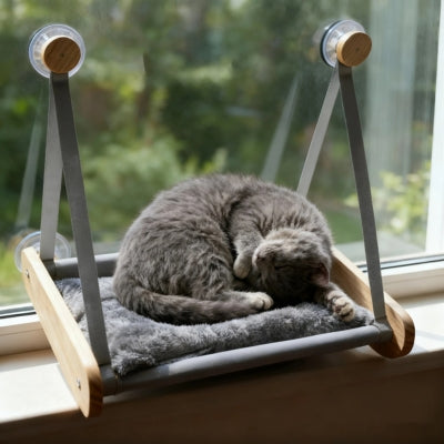 chat couché en boule sur hamac à chat fixé fenêtre