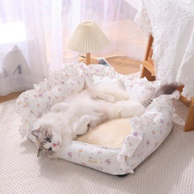 chat couché sur son dos dans un de ses coussins chats