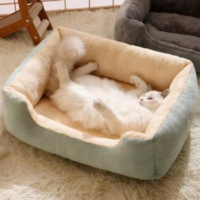 chat couché sur dos panier coussin chat vert