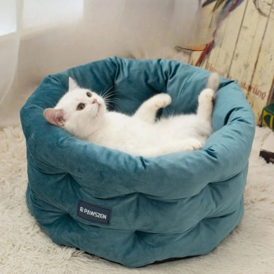 chat couché sur son dos dans cocon pour chat bleu