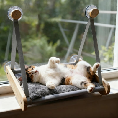 chat couché sur son dos sur hamac à chat fixé fenêtre