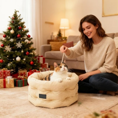 chat dans cocon pour chat joue avec maîtresse