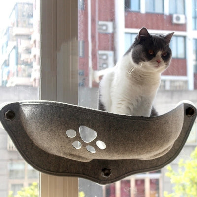 chat debout dans hamac chat suspendu