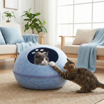 chat detendu cocon pour chat bleu ciel joue avec chaton