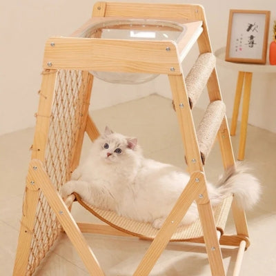 chat detendu confortablement sur son hamac à chat