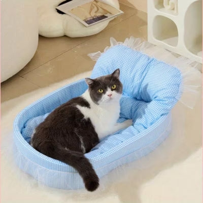 chat detendu couffin chaton bleu