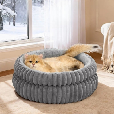chat detendu couffin chaton
