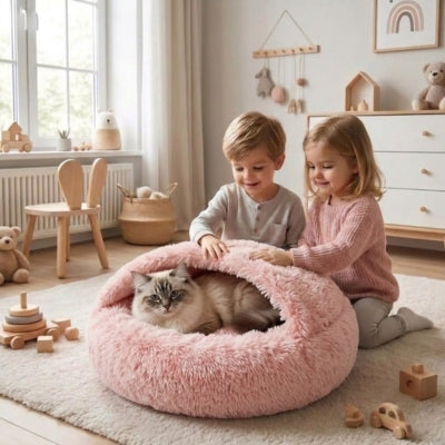 chat detendu dans cocon chat enfants le caressent affectueusement