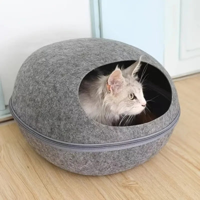 chat detendu dans cocon chat