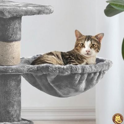 chat detendu dans hamac pour chat hamaczen gris