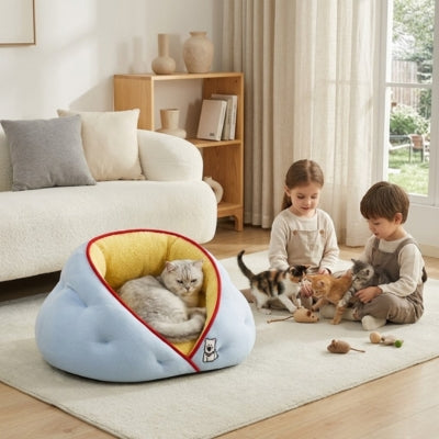 chat detendu dans niche chat hiver enfants jouent avec chatons