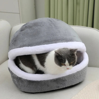 chat detendu dans nid chaton gris perle