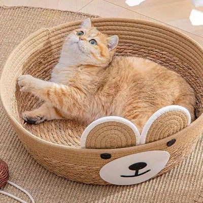chat detendu dans panier chat en osier 