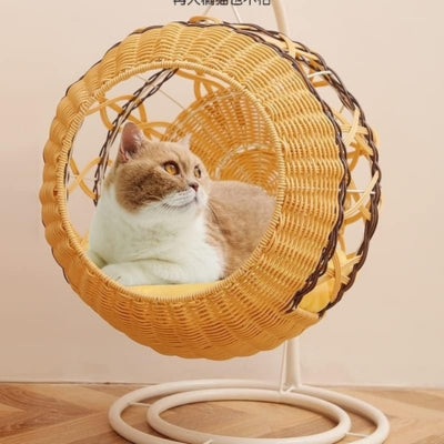 chat detendu dans panier chatons