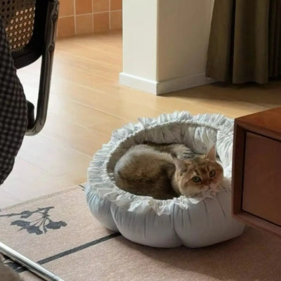 chat detendu dans un de ses couffins pour chats