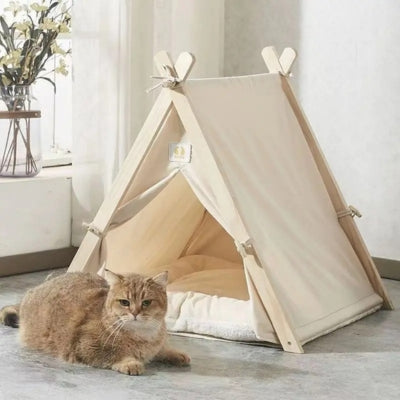 chat detendu devant son tipi pour chat blanc