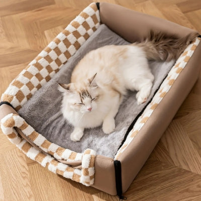 chat detendu maison pour chaton mise à plat