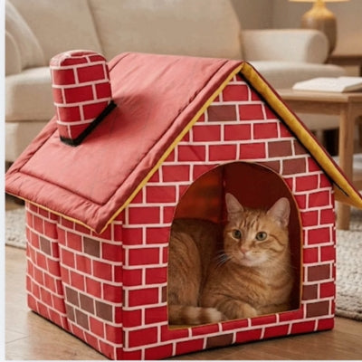 chat detendu maison pour chaton