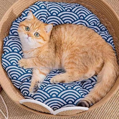 chat detendu panier chat en osier 