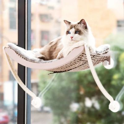chat detendu sur hamac chat suspendu